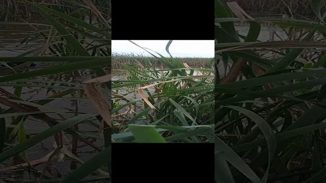 VID20220913082333.mp4 смотреть онлайн