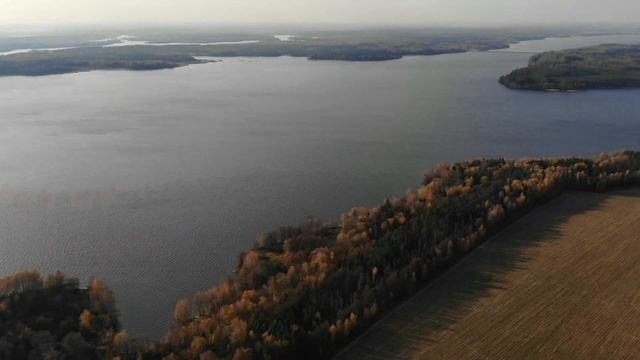 Учинское водохранилище. Осень. смотреть онлайн