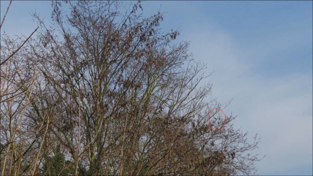 Zoom Test Canon PowerShot SX710 HS (n°1) смотреть онлайн