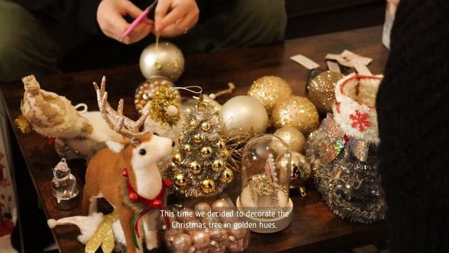 Last video this year🕛 Yard cleaning🧹Decorate the Christmas tree with the whole family🎄 смотреть онлайн