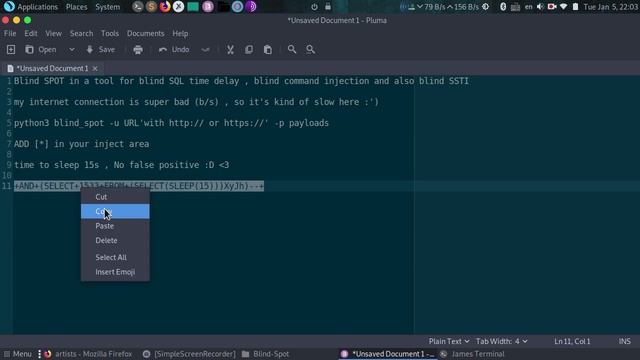 Blind Spot , Python tool that detect blind SQl inj time delay , blind code inj , blind SSTI смотреть онлайн