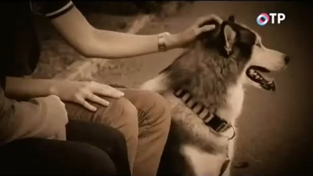 Радуга для друга смотреть онлайн