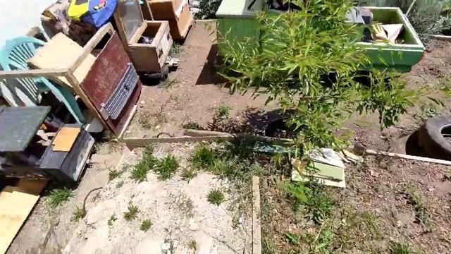 Подготовка к лету. Машины. смотреть онлайн