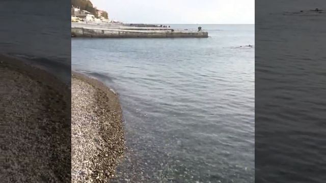 Чёрное море в Сочи 4.11.2017 смотреть онлайн