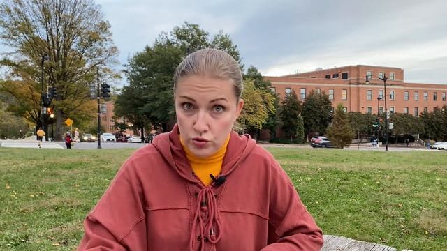 С чего начать обучение щенка смотреть онлайн