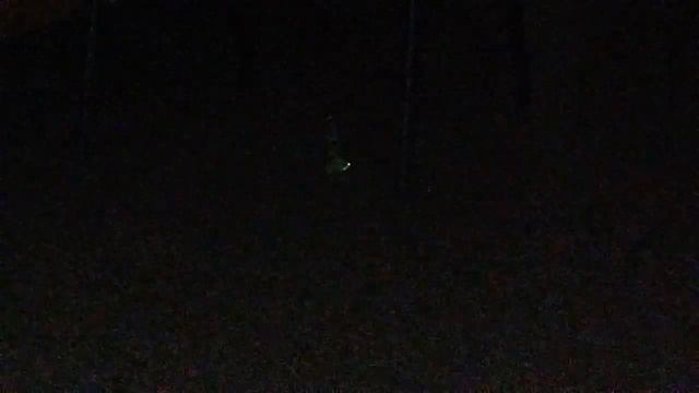 ВЫЗВАЛИ МАТНОГО ГНОМИКИ смотреть онлайн