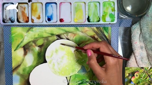 Green Apples in Watercolors Painting Tutorial смотреть онлайн
