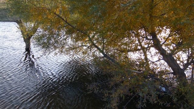 XIAOMI Redmi Note 3 Pro Camera Test/тест камеры/კამერის ტესტი