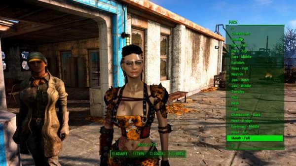 Fallout 4 How to Change Companion/NPC Appearance Using Console 2017