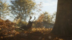 theHunter: Call of the Wild  ▶ БЕСПЛАТНО ▶ МИНИОБЗОР ▶ EPIC GAME ▶ БЕСПЛАТНО ДО 2 ДЕКАБРЯ