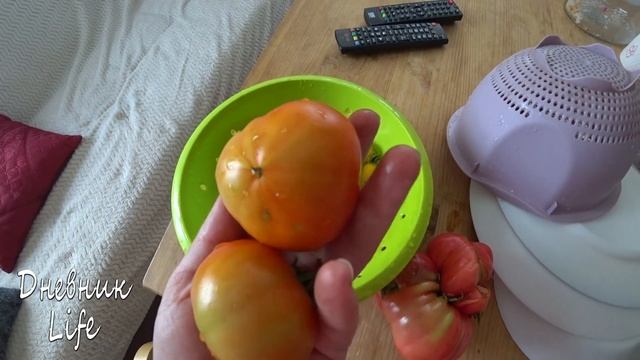 ТОМАТ ИЗ МАХРОВОГО ЦВЕТКА//ОБУВЬ КАРИ//ОГУРЦЫ ВЗОРВАЛИСЬ( смотреть онлайн