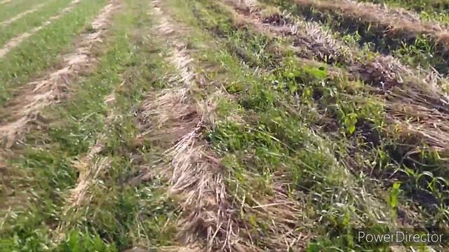Где пропал?? смотреть онлайн