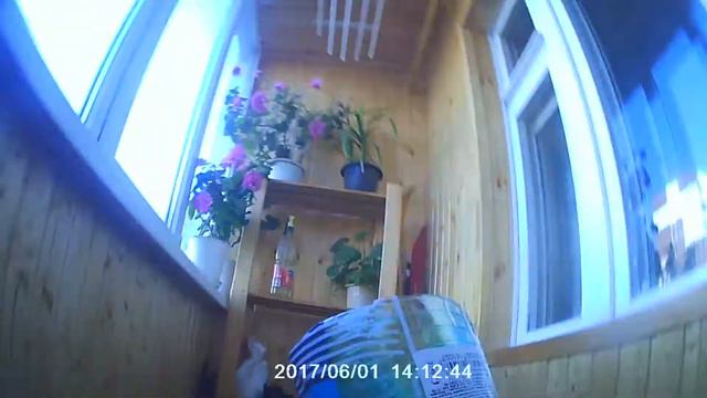 Что на днюху ? Не пойму как. смотреть онлайн