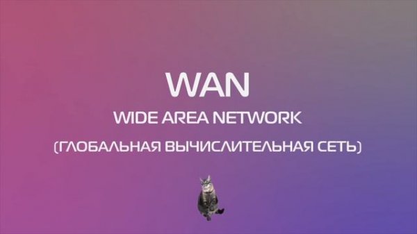 Что такое LAN и чем отличается от WAN?