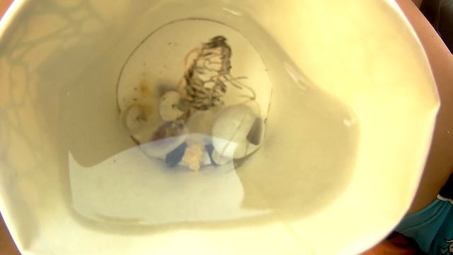 #ТУНИС,#ВОЛКОВЫ,#медузы, ПОЙМАЛИ ОПАСНУЮ МЕДУЗУ в ТУНИСЕ смотреть онлайн