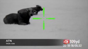 Тепловизоры и ПНВ ATN. Сравнение изображения