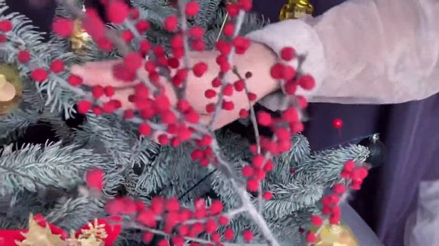 ИЛЕКС.Натуральный илекс,искусственный илекс,илекс осыпается,падуб Ilex aquifolium, зимняя флористик смотреть онлайн