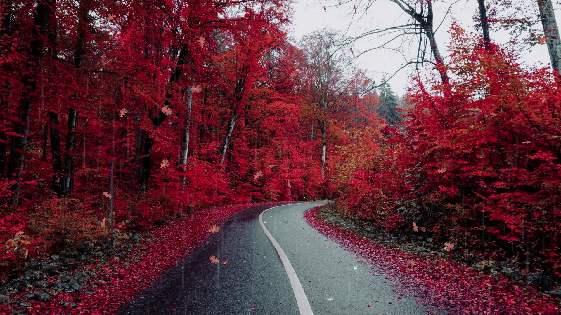 Дмитрий TV. Клип Жизнь и Смерть. смотреть онлайн