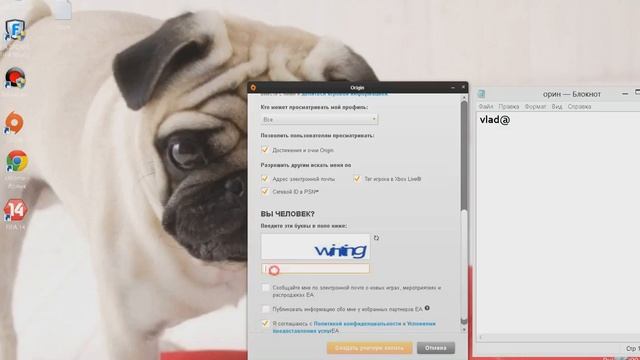 создаем профиль в origin смотреть онлайн