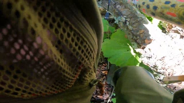 Ловя с УНИКАЛНА блесна с 2 ЛИСТА! Риболов на балканска пъстърва смотреть онлайн