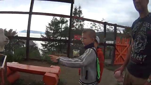 Зоопарк в Листвянке смотреть онлайн