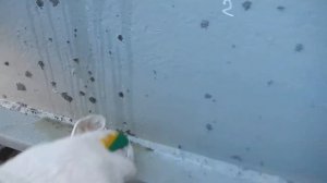 очищаем сэндвич-панель от цементного раствора и бетона