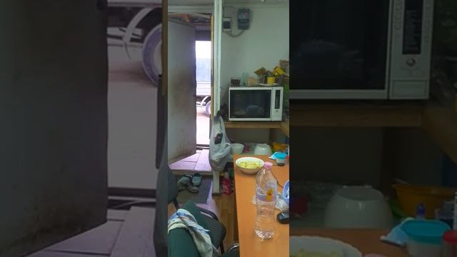 Хорек ласка или горностай? смотреть онлайн