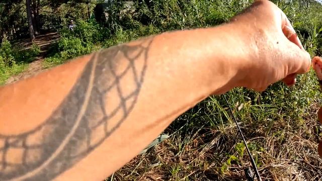 ОТДЫХ и Рыбалка НА ВОДОХРАНИЛИЩЕ. Фидер. Готовлю шашлык. Топлю баньку. #398 смотреть онлайн