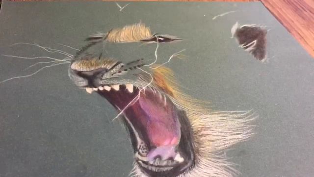 Lion cub drawing with Castle Art pencils - Time-lapse video смотреть онлайн