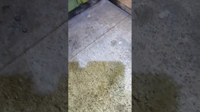 замена передних тормозных дисков зоти т600