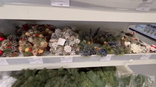 Тропические джунгли в Питере / первые покупки к Новому году