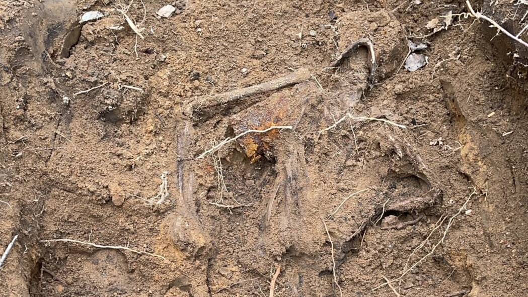 Подъём бойца РККА _ Found a Red Army soldier (1080p) смотреть онлайн