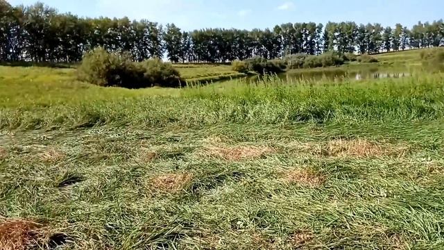 сенокос 2022 беспальцевая коса в работе смотреть онлайн