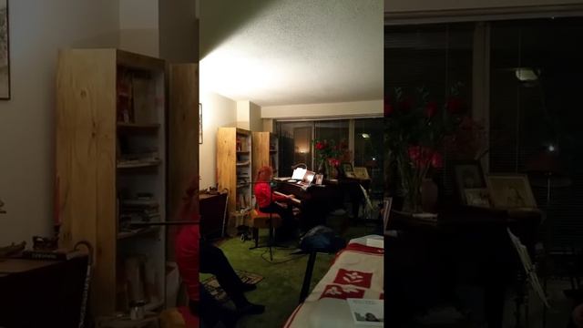 FX Mozart (Son of Amadeus): "CADENZA" to Concerto, op.14 (Julie Holtzman) смотреть онлайн