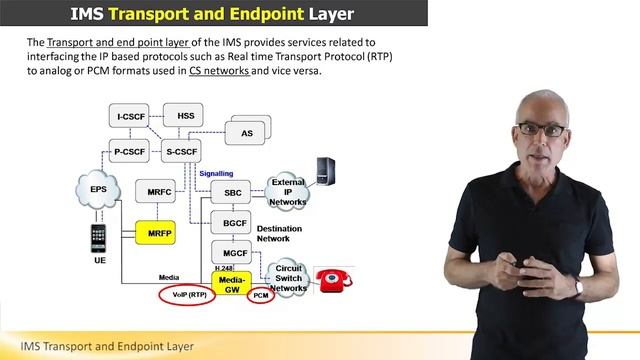 IMS Transport and Endpoint Layer смотреть онлайн