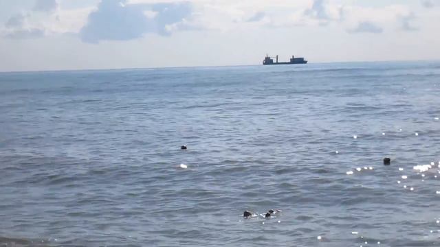 149 - ПАПА КУПАЕТСЯ на БОЛЬШОИ ВОЛНЕ _ MVI 0564 - 7 сентября 2013 г., 16-58 смотреть онлайн