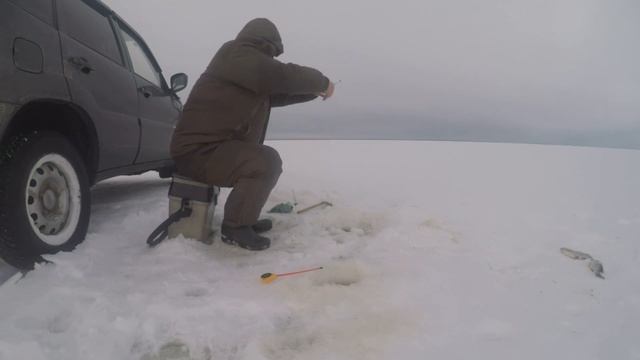 Озеро Ильмень, плотва в глухозимье смотреть онлайн