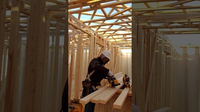 Dewalt DCS577 Unboxing