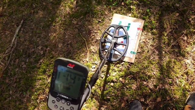 Minelab X Terra Pro - Nail Board Test