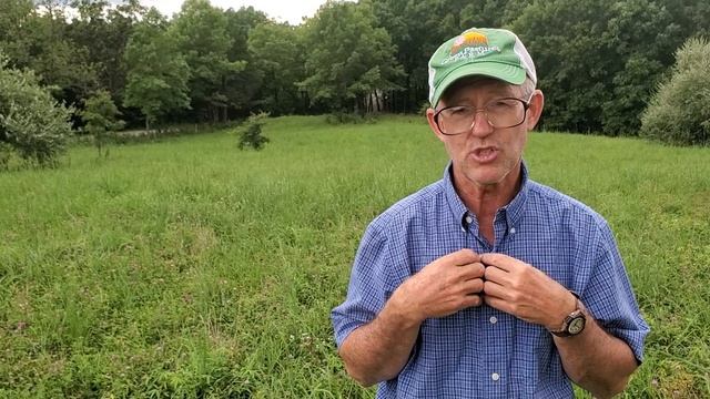 Greg discusses steps from dead farm to thriving pastures! смотреть онлайн