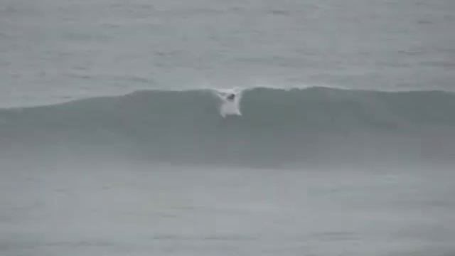 Mitch Eakins Surf Reel смотреть онлайн