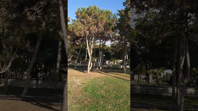Сухум осень не большой видео ролик ,для вас мои дорогие друзья.❣❣❣ смотреть онлайн