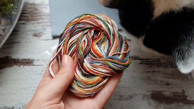 Новый старт в честь годовщины канала ❤ Обожаемый #MillHillKit смотреть онлайн