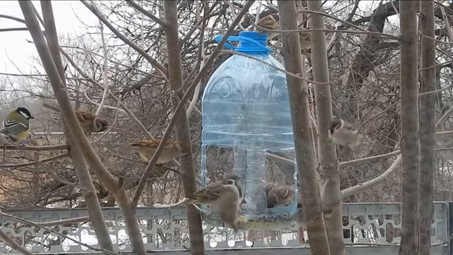 Веселые соседи смотреть онлайн