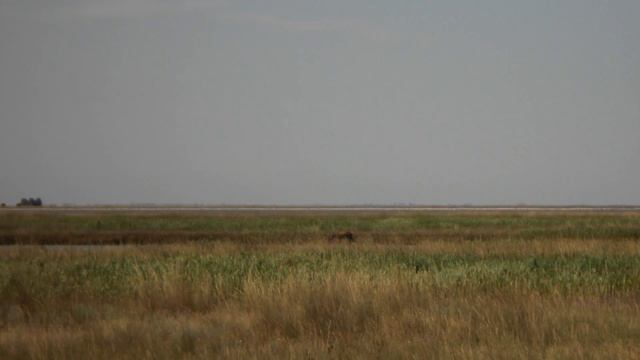 Наше путешествие на остров Бирючий 2021г смотреть онлайн