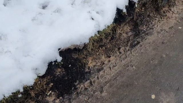02.02.2020, свинское содержание придомовой, химки, совхозная 16, Ук Пик-комфорт,руководитель Морозо смотреть онлайн