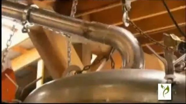 Gaultheria Procumbens Wintergreen Essential Oil Producer