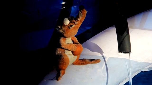 Водонагреватель для бассейна Fenix Nexus смотреть онлайн