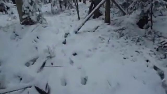 Тайга-Промысел.Сибирь.На белку и соболя ( плашка) смотреть онлайн
