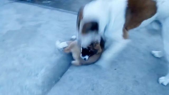 И снова разборки САО:))) смотреть онлайн